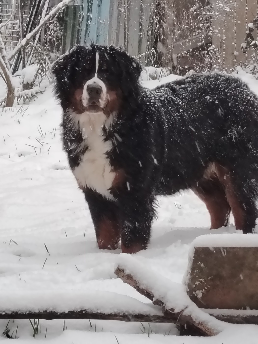 Vyktoire de la Vallée de Roxskim De La Vallee De Roxskim